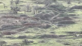 Russian soldier shot at long range.