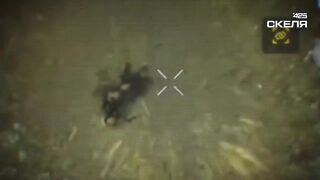 UKRAINE DEATH COMP CLXVIII