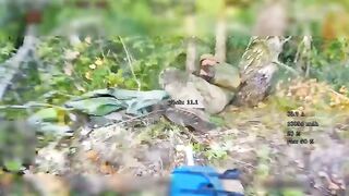 Rus drone opens Ukrainian belly.