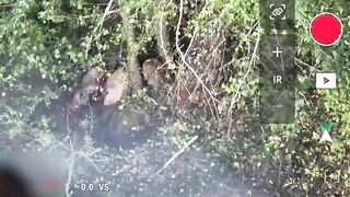 Rus drone opens Ukrainian belly.