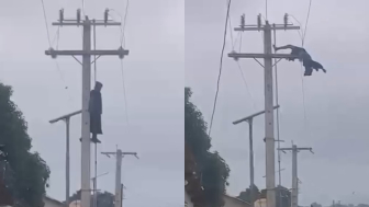 Man Electrocuted, Killed After Climbing Electric Pole And Contacting Live Cable