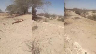 Plane crash 12 passengers dead