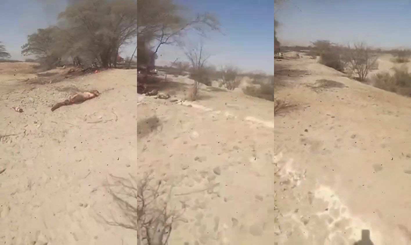 Plane crash 12 passengers dead
