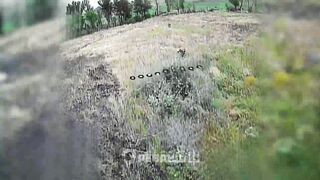 Colombian volunteers are killing Russhits.
