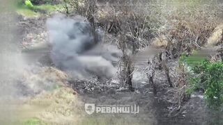 Colombian volunteers are killing Russhits.