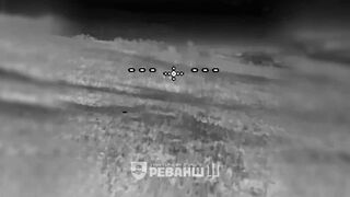 Colombian volunteers are killing Russhits.