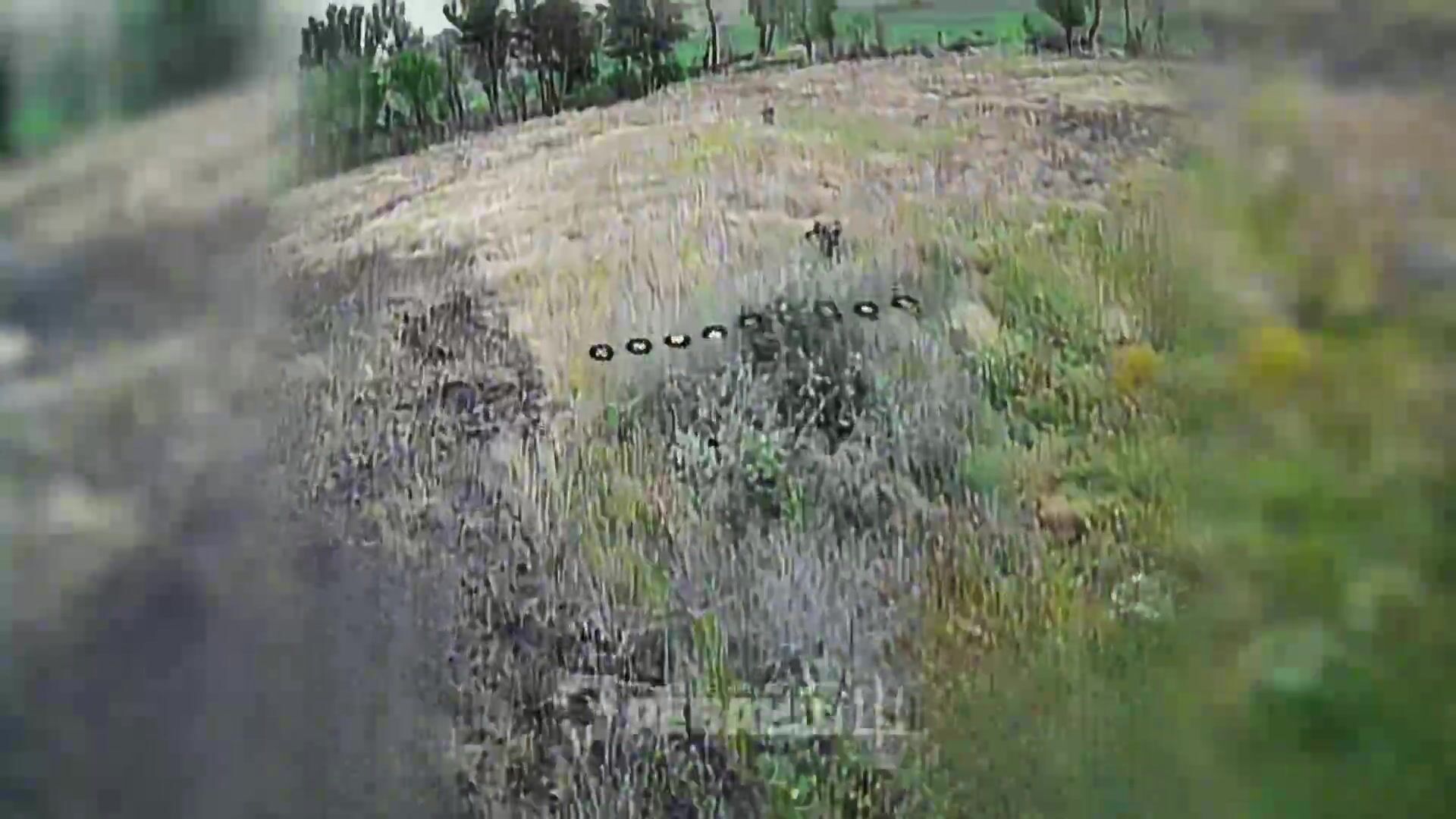 Colombian volunteers are killing Russhits.