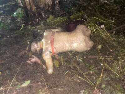 Female Body Found, in the Echeandia canton,