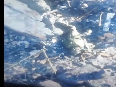 Ukrainian drone drops grenades; Russian bodies seen