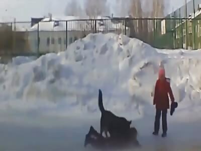 Near Perm, two girls were bitten by a dog