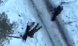 Ua drone targets a group of Russian soldiers in a forest