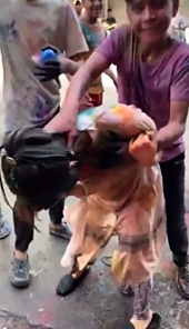Japanese girl gets ganged up on and viciously assaulted and harassed