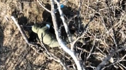  Grenade drop seriously wounds a Russian soldier