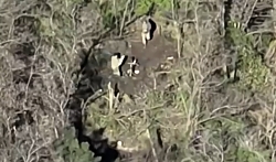 Russian Mortar position targeted by UA drone and artillery