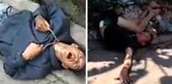 2 shocking videos of K-9 synthetic drug users in Brazil