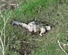 Russian casualties after military operations in Ukraine