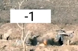 Russian militants are hit with 2 grenades