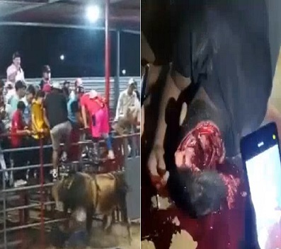 Price For Messing With A Bull In Nicaragua (New Angle)