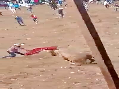 Man brutally beaten by bull