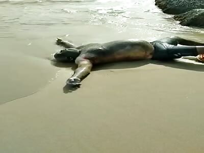 Swollen corpse on beach 