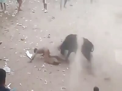 Never try to fuck Colombian bulls