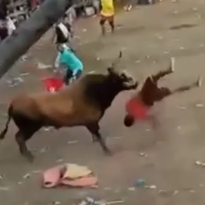 Beast Fucking One Motherfucker at Bull Festival In Colombia