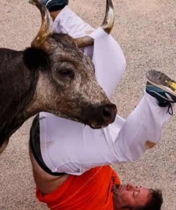Bull Festival In Navarra Spain Begins