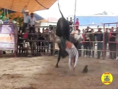 Fat Bull Rider was BRUTALLY Trampled
