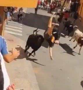 Painful bull run