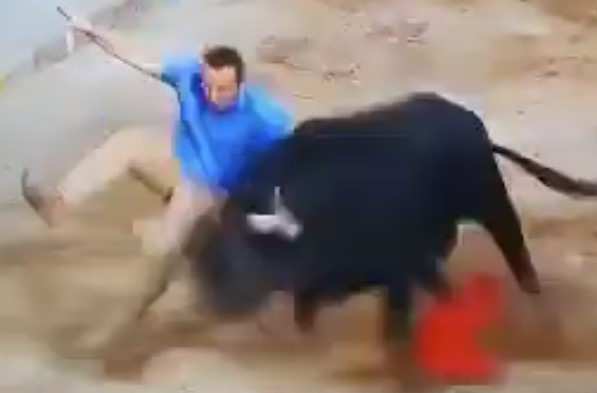 Lively Spanish Bull Attacks This Week