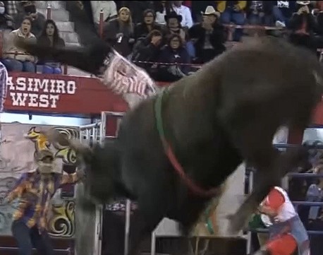 FUCKED, bullfighter was released with brutal impact