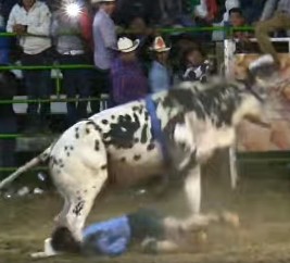 Bullfighter Trampled in Mexico