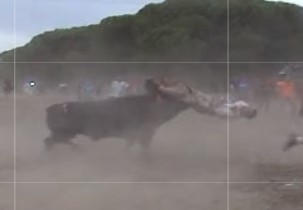 Bull from hell, brutalized several victims in a field
