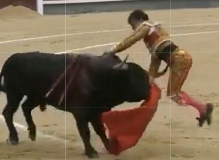 bull fucked the lives of 2 in an arena