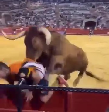 Spanish bull fucked some victims