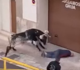 Old Man Brutalized by Bull