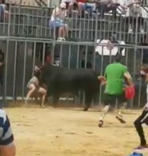 Mexican bulls fucking victims in the sands