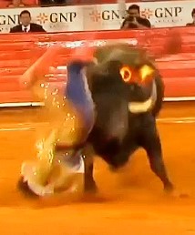 bullfighters get fucked in bullfights in spain