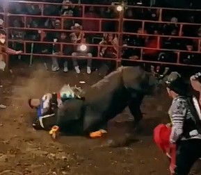 Bull of Hell, shocked the bullfighter and threw him with a dummy