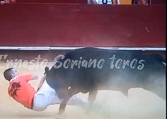ferocious bull pierces man in spain