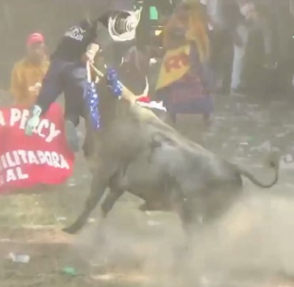 Man fucked with skewers while trying to pierce bulls