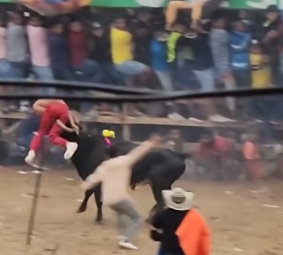 Bulls at Colombian festival fucking their victims