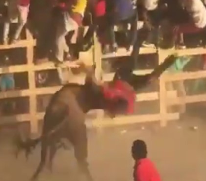 Never throw rockets at a Colombian bull