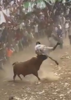 Go to hell motherfucker, man dies falling in front of bull