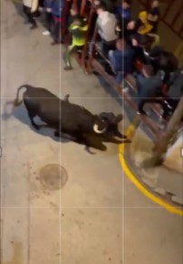 Man was fucked by bull on a pole in madrid