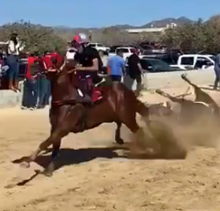 DAMN: Horse Racing Disaster 