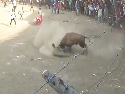 Brutal fucked by angry bull