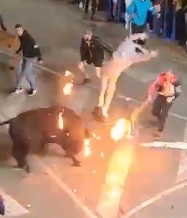 Brutal, man was stripped naked by bull and cruelly attacked