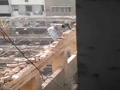 Fearless construction builder in Saudi Arabia 