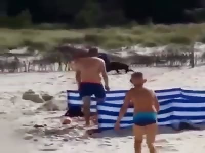 Wild Boar beach Atack 